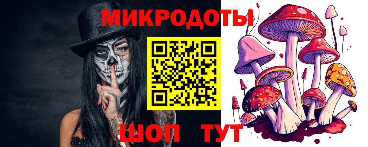 Галлюциногенные грибы Cubensis Десногорск