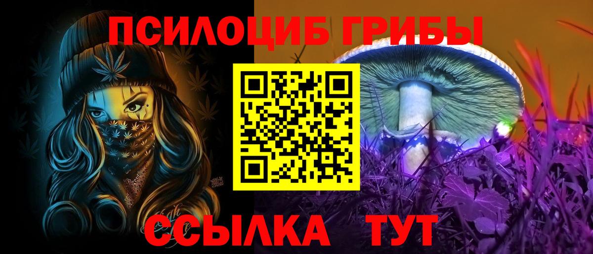 Псилоцибиновые грибы Psilocybe  Вход с VPN  Десногорск 